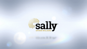 Sally - an innovative virtual concierge and security service